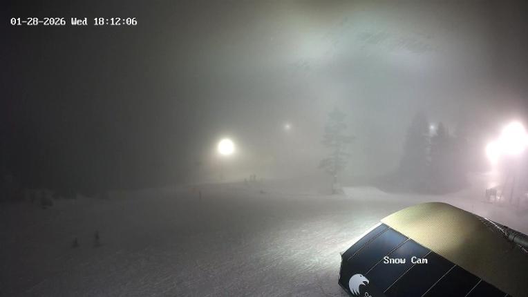 Webcam Grouse Mountain: Snow Cam