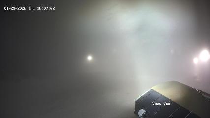 Grouse Mountain: Snow Cam (grousemountain.com)