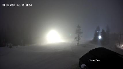 Grouse Mountain: Snow Cam (grousemountain.com)
