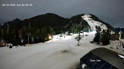 Grouse Mountain: Snow Cam (grousemountain.com)