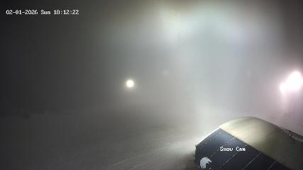 Grouse Mountain: Snow Cam (grousemountain.com)