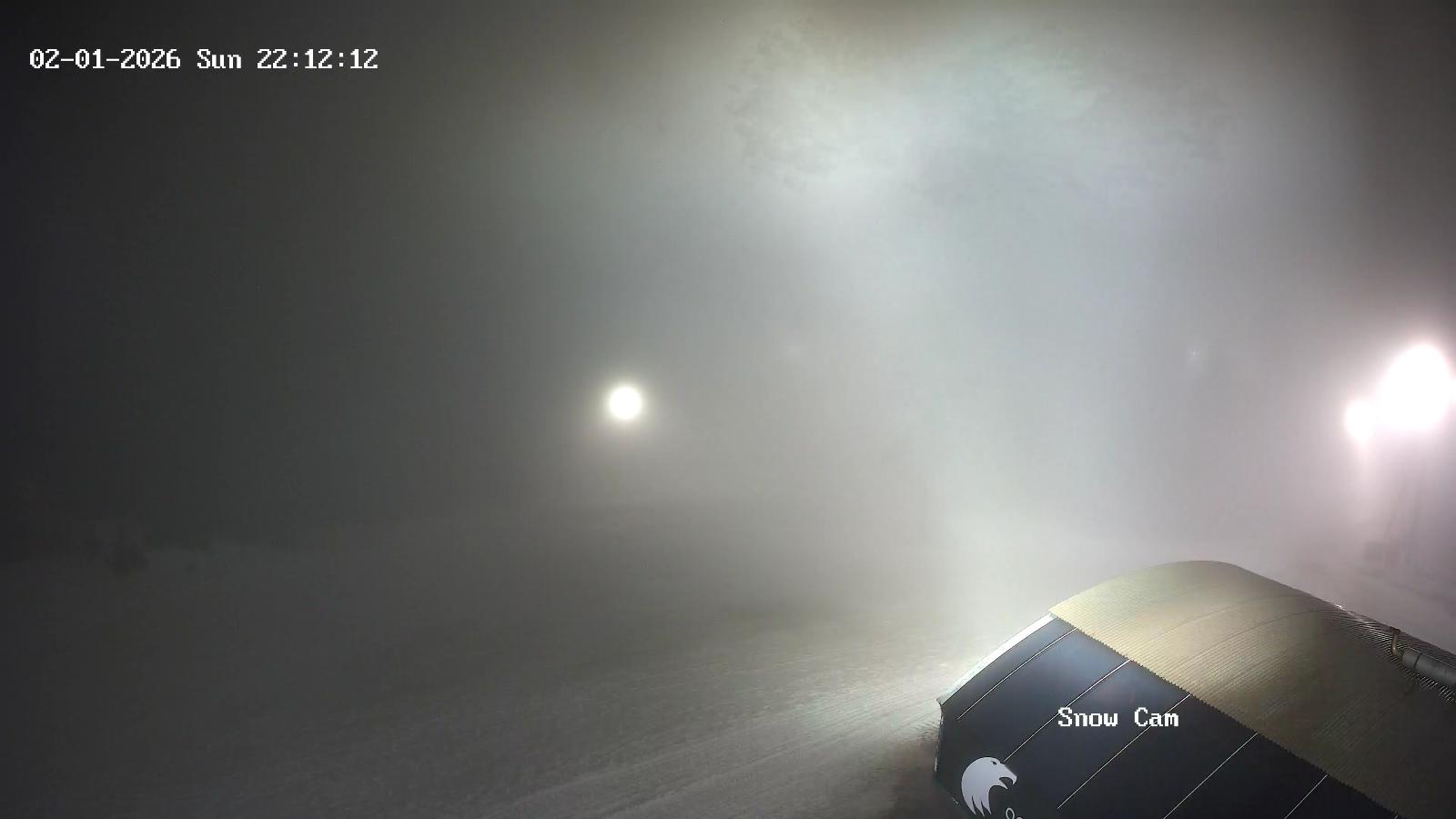 Webcam Grouse Mountain: Snow Cam