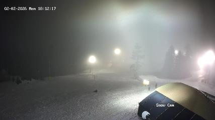 Grouse Mountain: Snow Cam (grousemountain.com)