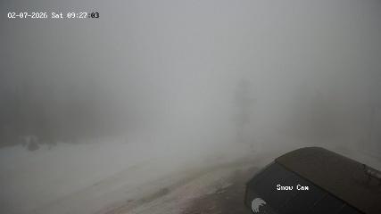Grouse Mountain: Snow Cam (grousemountain.com)