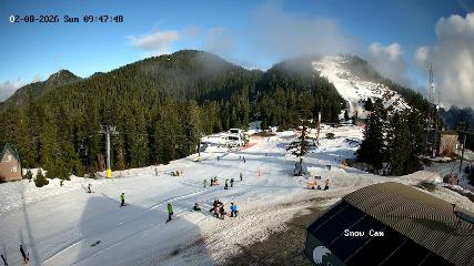 Grouse Mountain: Snow Cam (grousemountain.com)