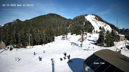 Grouse Mountain: Snow Cam (grousemountain.com)