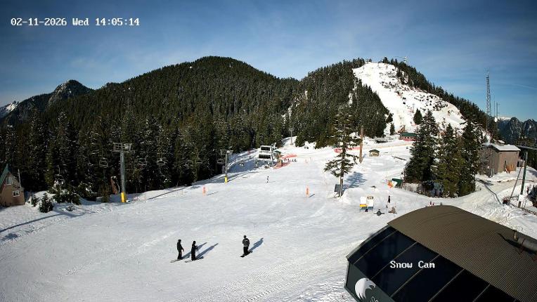 Webcam Grouse Mountain: Snow Cam