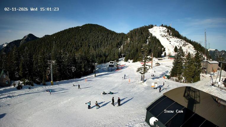 Webcam Grouse Mountain: Snow Cam