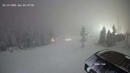 Grouse Mountain: Snow Cam (grousemountain.com)