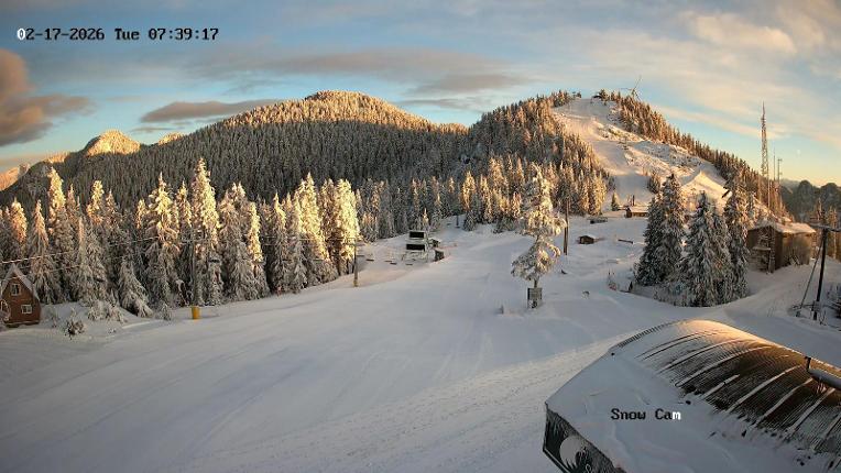 Webcam Grouse Mountain: Snow Cam