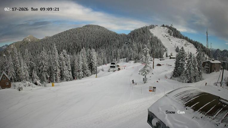 Webcam Grouse Mountain: Snow Cam