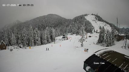 Grouse Mountain webcam