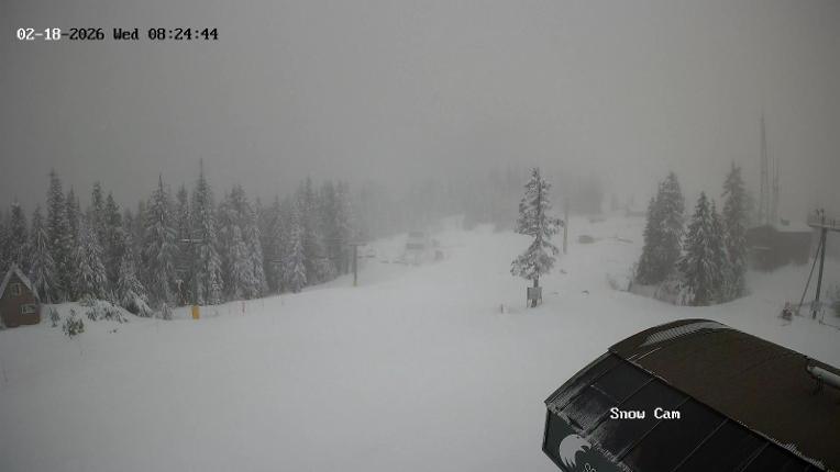 Webcam Grouse Mountain: Snow Cam