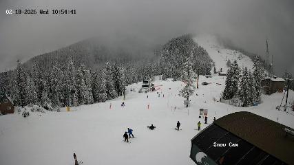 Grouse Mountain: Snow Cam (grousemountain.com)