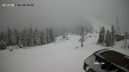 Grouse Mountain: Snow Cam (grousemountain.com)
