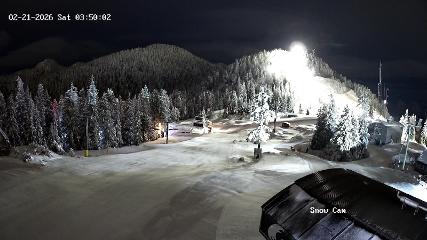 Grouse Mountain: Snow Cam (grousemountain.com)