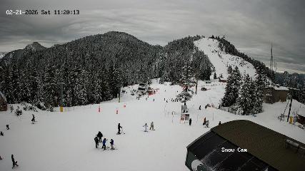 Grouse Mountain: Snow Cam (grousemountain.com)