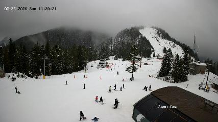 Grouse Mountain: Snow Cam (grousemountain.com)