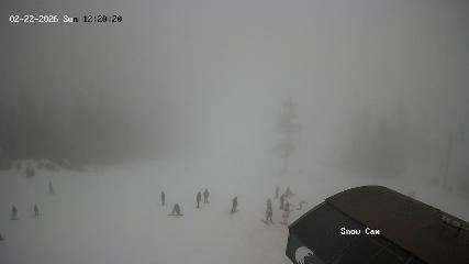 Grouse Mountain: Snow Cam (grousemountain.com)
