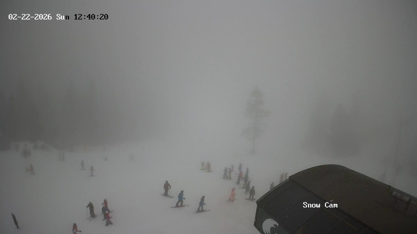 Webcam Grouse Mountain: Snow Cam