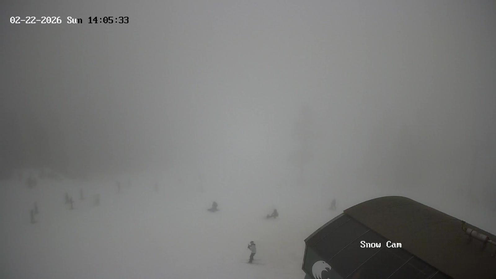 Webcam Grouse Mountain: Snow Cam