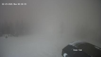 Grouse Mountain: Snow Cam (grousemountain.com)