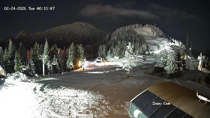 Grouse Mountain: Snow Cam (grousemountain.com)