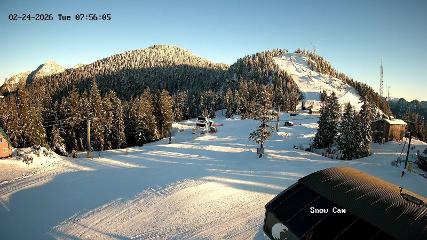 Grouse Mountain: Snow Cam (grousemountain.com)