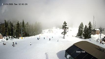 Grouse Mountain: Snow Cam (grousemountain.com)