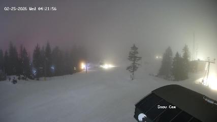 Grouse Mountain: Snow Cam (grousemountain.com)