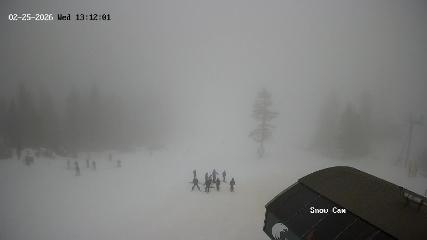 Grouse Mountain: Snow Cam (grousemountain.com)