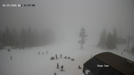 Grouse Mountain: Snow Cam (grousemountain.com)