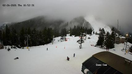 Grouse Mountain: Snow Cam (grousemountain.com)