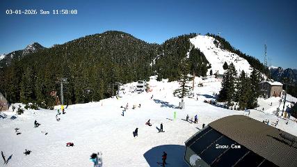 Grouse Mountain: Snow Cam (grousemountain.com)