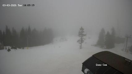 Grouse Mountain: Snow Cam (grousemountain.com)