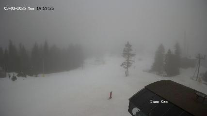 Grouse Mountain: Snow Cam (grousemountain.com)