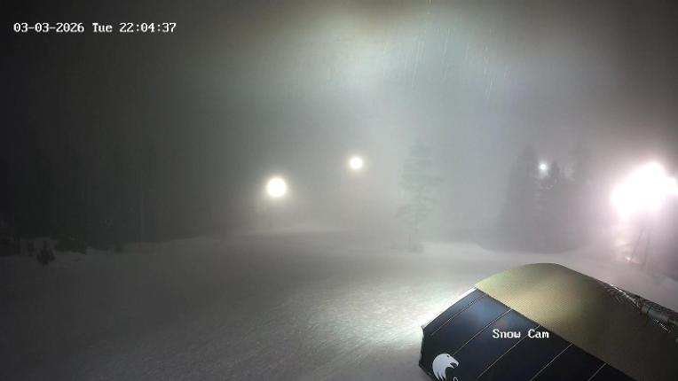 Webcam Grouse Mountain: Snow Cam