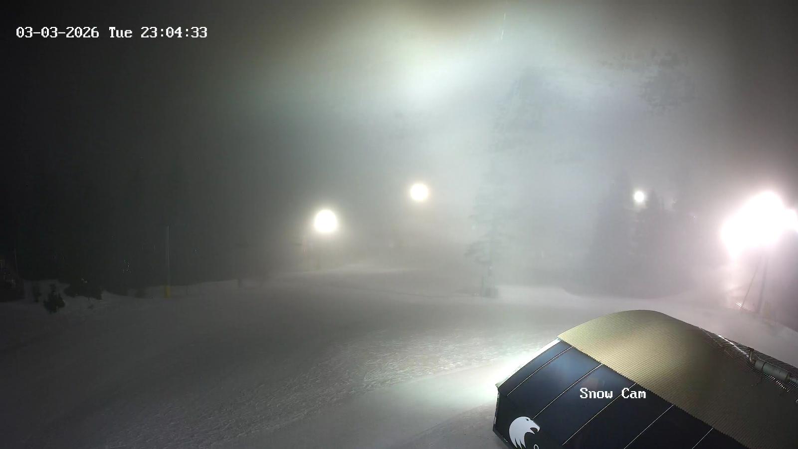 Webcam Grouse Mountain: Snow Cam