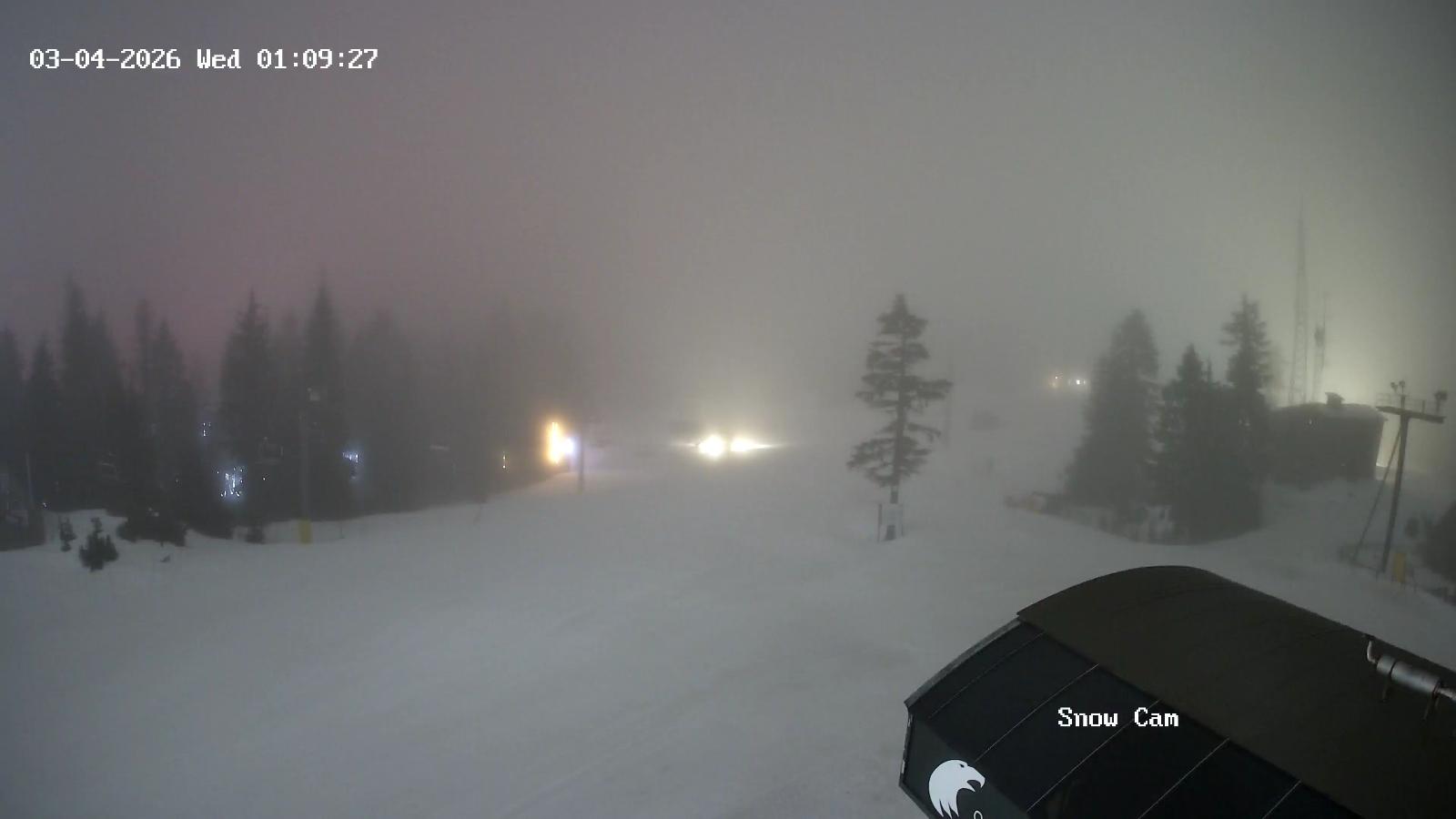 Webcam Grouse Mountain: Snow Cam