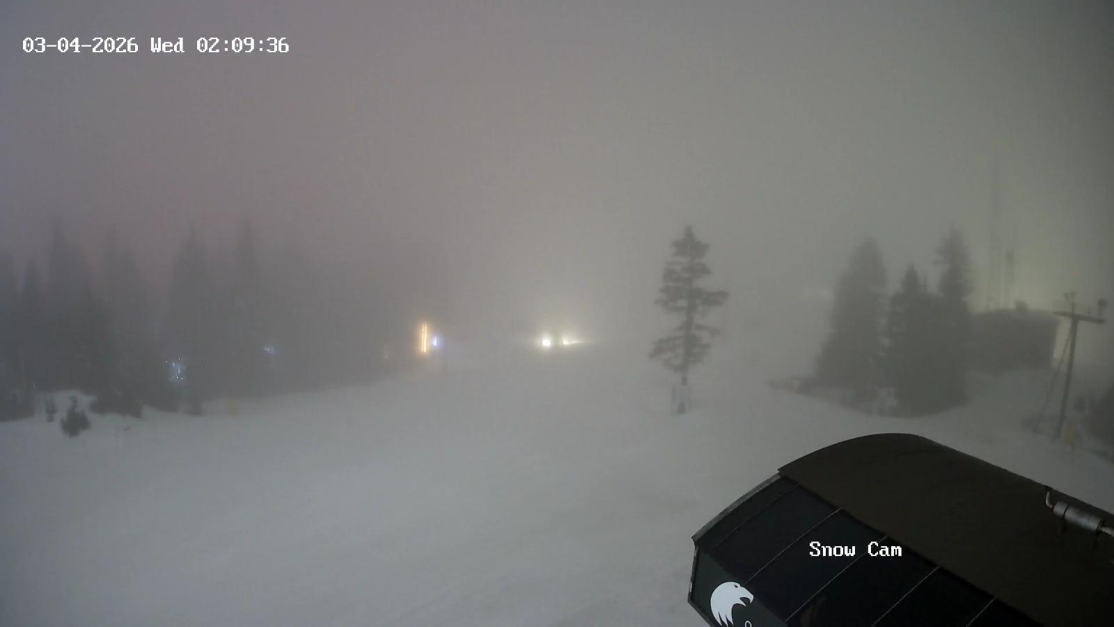 Webcam Grouse Mountain: Snow Cam
