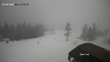 Grouse Mountain: Snow Cam (grousemountain.com)
