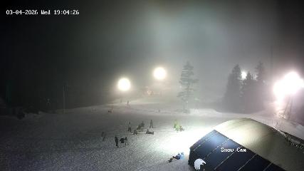 Grouse Mountain: Snow Cam (grousemountain.com)