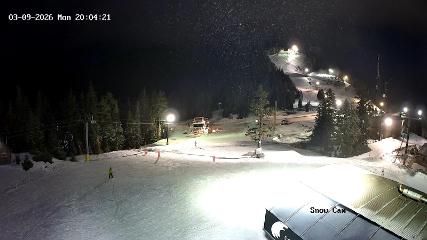 Grouse Mountain: Snow Cam (grousemountain.com)