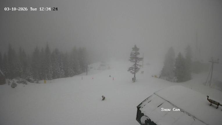 Webcam Grouse Mountain: Snow Cam
