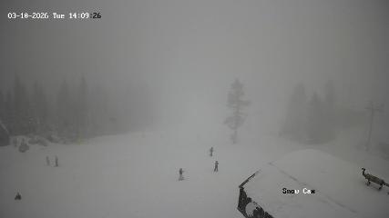 Grouse Mountain webcam
