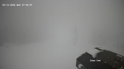 Grouse Mountain: Snow Cam (grousemountain.com)