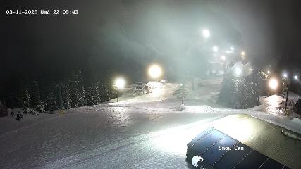 Grouse Mountain: Snow Cam (grousemountain.com)