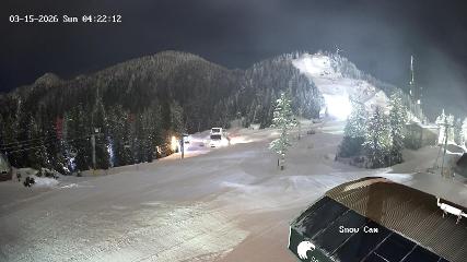 Grouse Mountain: Snow Cam (grousemountain.com)