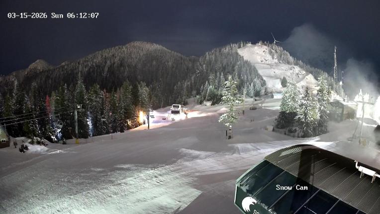 Webcam Grouse Mountain: Snow Cam