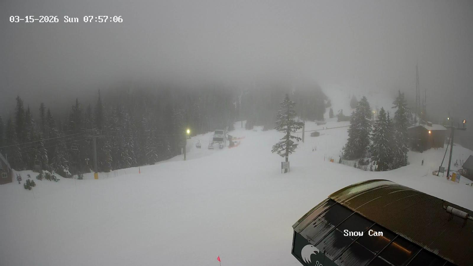 Webcam Grouse Mountain: Snow Cam